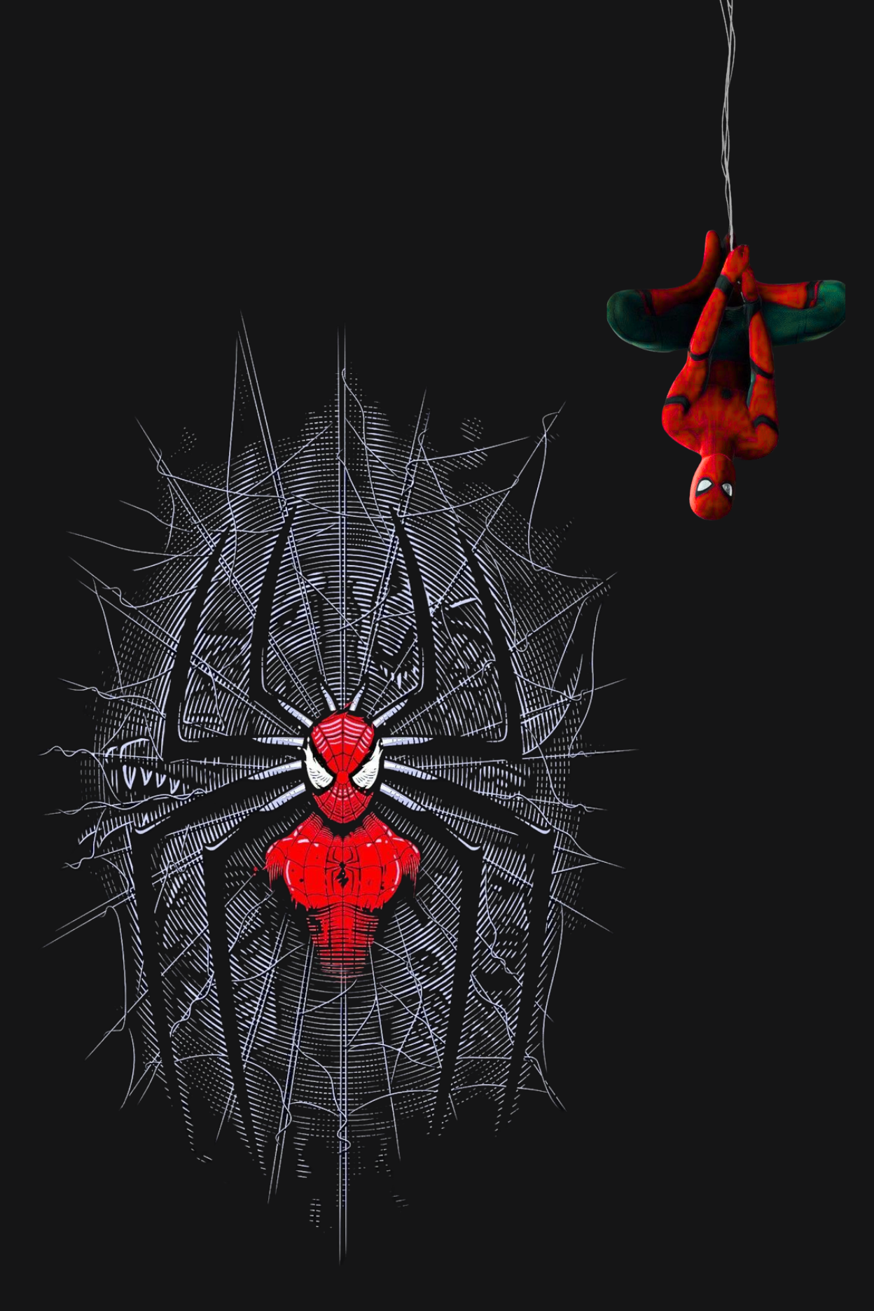 Spider-Man - Regular Print T-Shirt